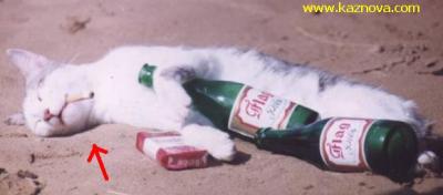 malk asahbi cherbti bezaf